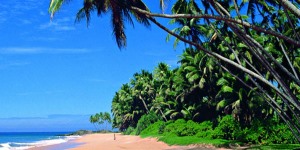 Sri Lanka - Negombo